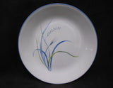 1 Corelle COASTAL BREEZE Sandstone SMOOTH COUPE DINNER PLATE *Ocean Blue Green