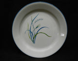 Corelle COASTAL BREEZE Sandstone 9" LUNCH Salad PLATE *Flat Rim Ocean Blue Green