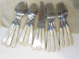 NEW 20-pc Corelle FARM FRESH Stainless FLATWARE Set *Apples Green Gingham