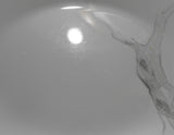 ❤️ Corelle SILVER BIRCH Choose: 11" DINNER or 8.5" LUNCH PLATE / Tree Branches