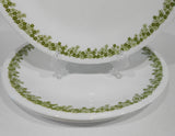 ❤️ 4 Corelle Corning SPRING BLOSSOM GREEN 9.75" Lunch DINNER PLATES Crazy Daisy