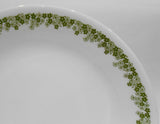❤️ 4 Corelle Corning SPRING BLOSSOM GREEN 9.75" Lunch DINNER PLATES Crazy Daisy