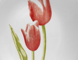 ❤️ Corelle TULIP BOUQUET UPick: Dinner OR Lunch Plate / Spring Green RED Blooms