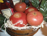 Autumn Harvest APPLES & CINNAMON GIFT BASKET Candles Dry & Liquid Potpourri Oil