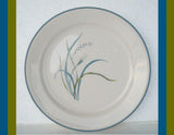 Corelle COASTAL BREEZE Sandstone 9" LUNCH Salad PLATE *Flat Rim Ocean Blue Green
