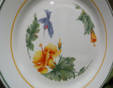 *NRM Corelle HUMMINGBIRD 10.25" DINNER Plate TROPICAL Blue Orange Yellow Floral