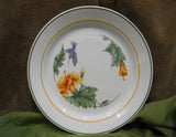 *NRM Corelle HUMMINGBIRD 10.25" DINNER Plate TROPICAL Blue Orange Yellow Floral