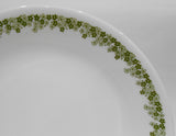 ❤️ 1 Corelle Corning SPRING BLOSSOM GREEN 9.75" Lunch DINNER PLATE Crazy Daisy